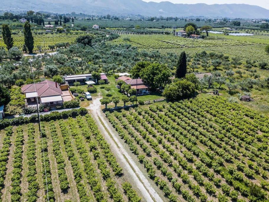 Authentic Country House In Zakynthos Ambelokipoi  Exterior foto
