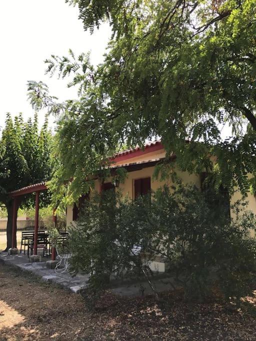 Authentic Country House In Zakynthos Villa Ambelokipoi  Exterior foto