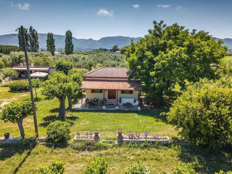 Authentic Country House In Zakynthos Ambelokipoi  Exterior foto