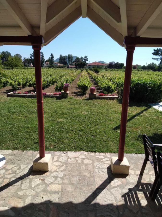 Authentic Country House In Zakynthos Ambelokipoi  Exterior foto