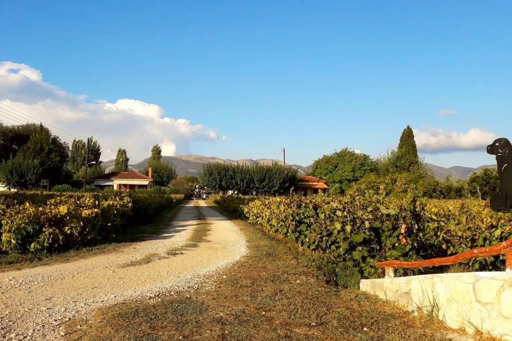 Authentic Country House In Zakynthos Ambelokipoi  Exterior foto